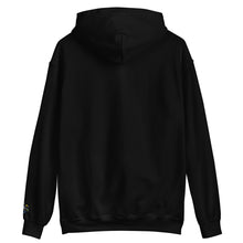 Load image into Gallery viewer, Love is not a Sin Hoodie